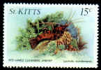 St Kitts SG 145s.jpg (48585 bytes)