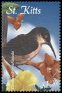 Clements: Brown Trembler (Cinclocerthia ruficauda)(Endemic or near-endemic)  new (2001) 
