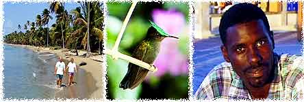 Pinney's Beach Nevis, Hummingbird, St Kitts, Man, Nevis